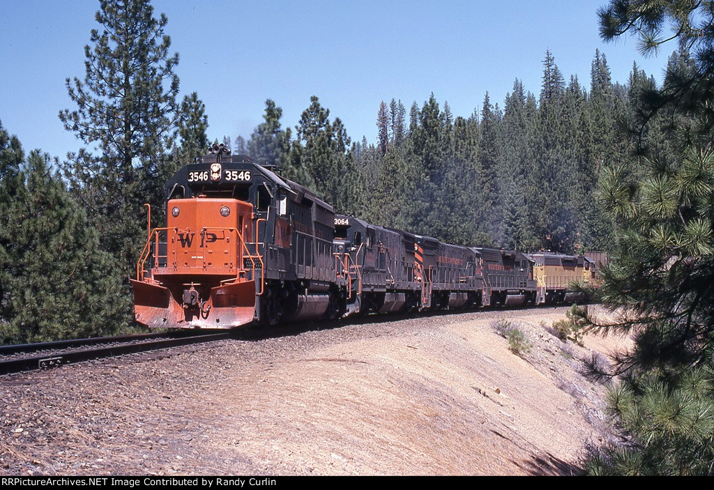 WP 3546 East on Williams Loop